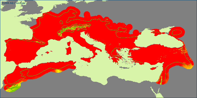 Asperula arvensis