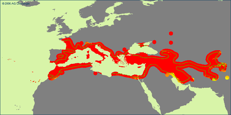 Carduus pycnocephalus