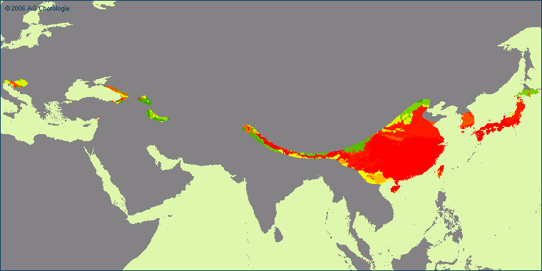 Carpesium abrotanoides