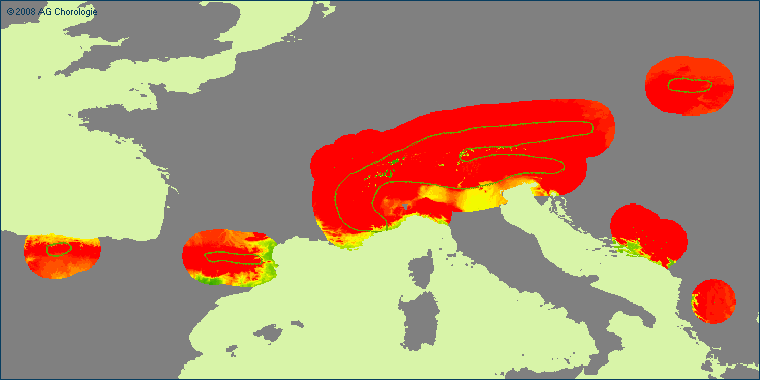 Gnaphilium hoppeanum