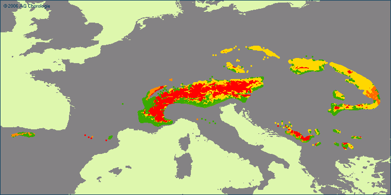 Homogyne alpina