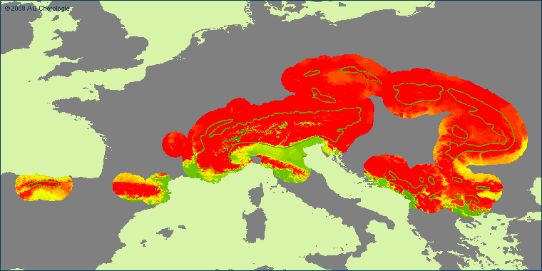 Homogyne alpina