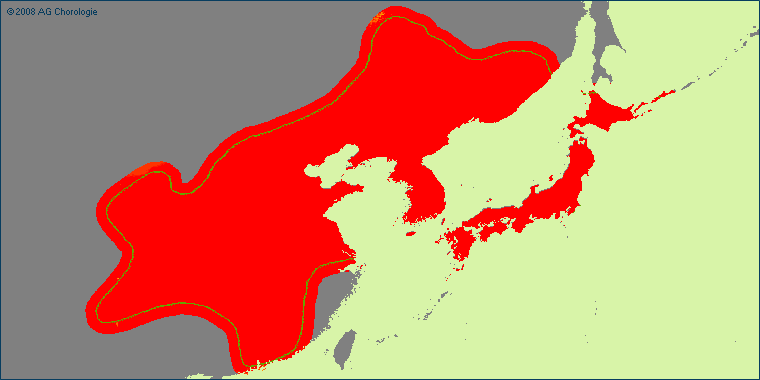 Inula japonica