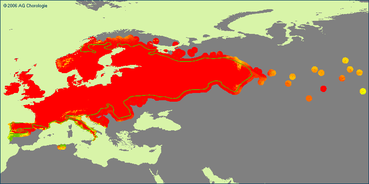 Cirsium palustre